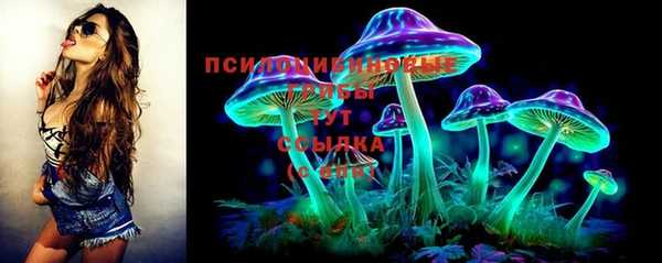 прущие грибы Беломорск