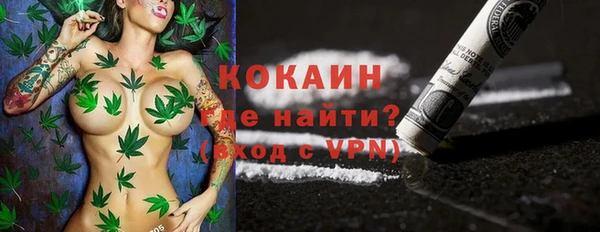 прущие грибы Беломорск